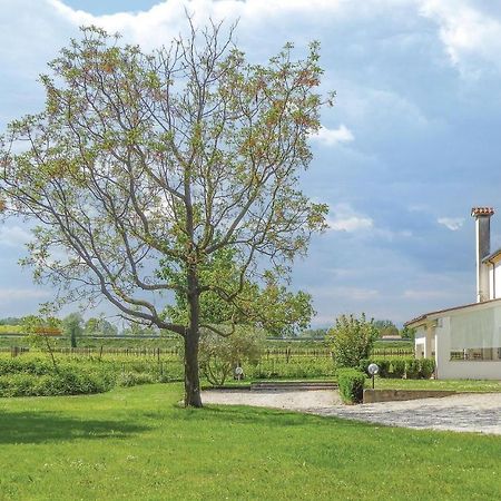 Villa Casa Di Mamy à Sant'Elena di Silea Extérieur photo